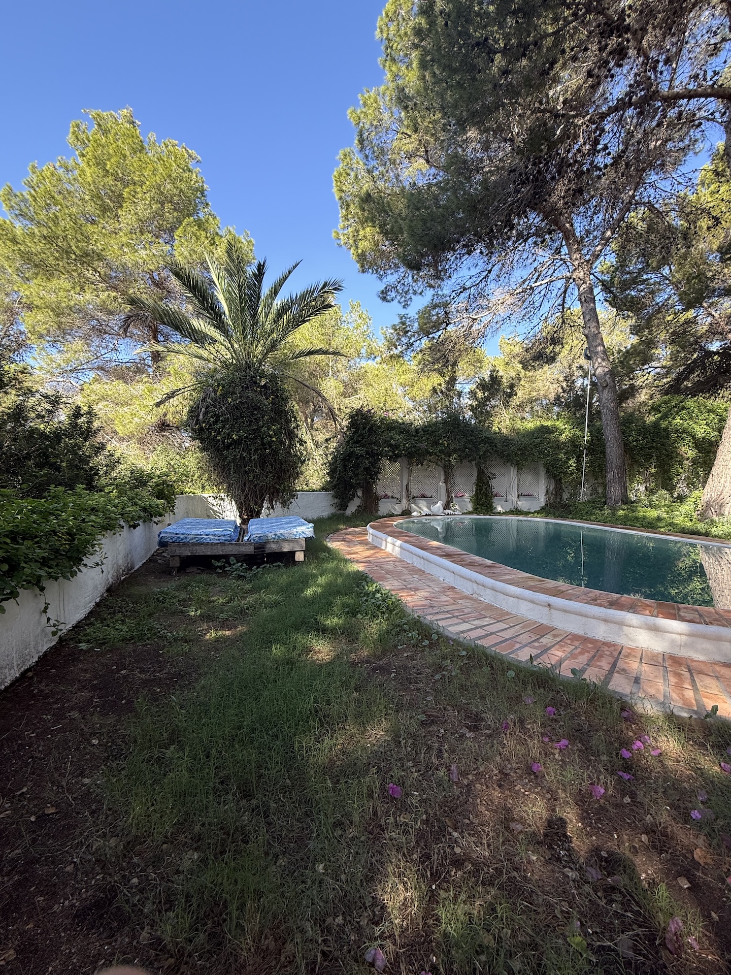 Resa Estates for sale te koop project Cala Tarida Ibiza pool garden huse.jpeg